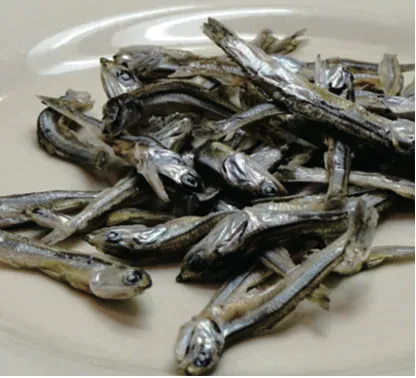 小魚